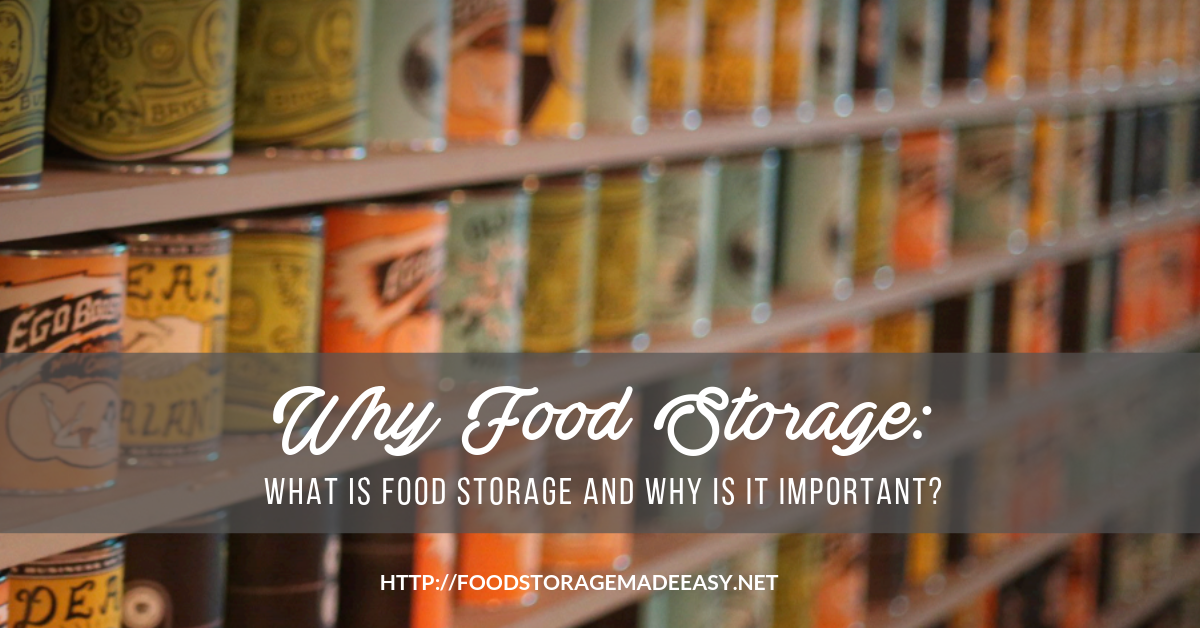what is food storage