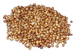 poppedwheat