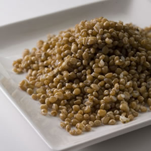 7 Great Ways to Use Wheat WITHOUT a Wheat Grinder!