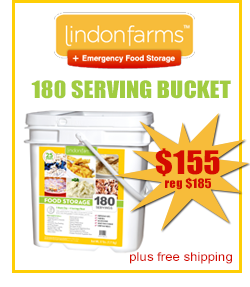 Black_friday_flyer_2012_03
