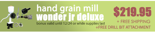 Black_friday_flyer_2012_11