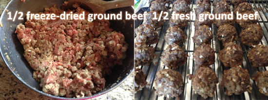 freeze-dried-beef