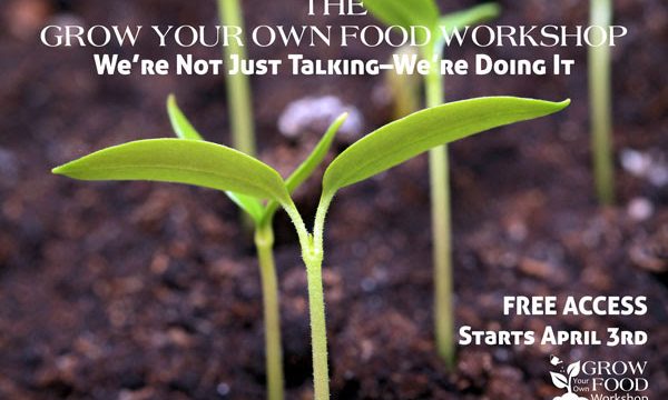 FREE Grow Your Own Food Workshop