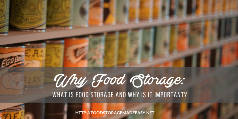 what is food storage