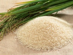 ricepost ricepost