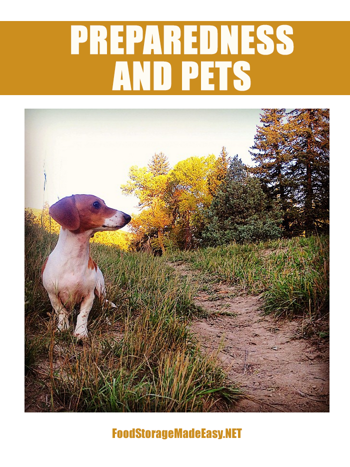 Pets and Preparedness