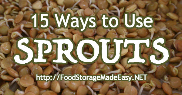 15sprouts