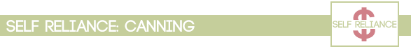 SRCANNING