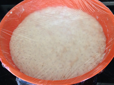 noknead2