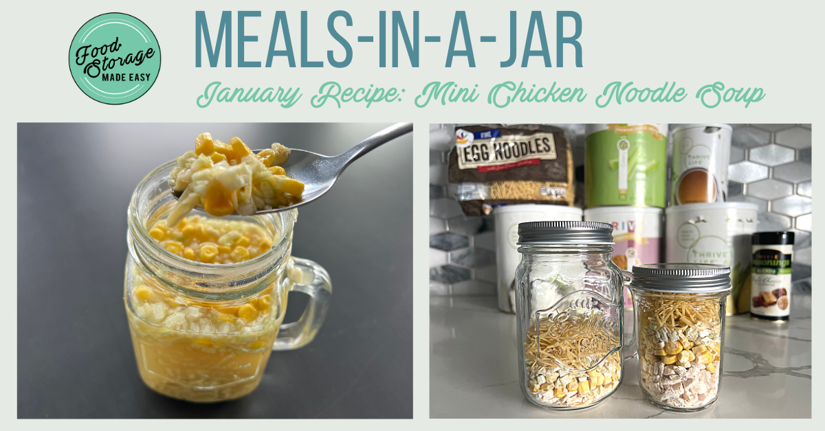 Chicken Noodle Soup for One Banner Image